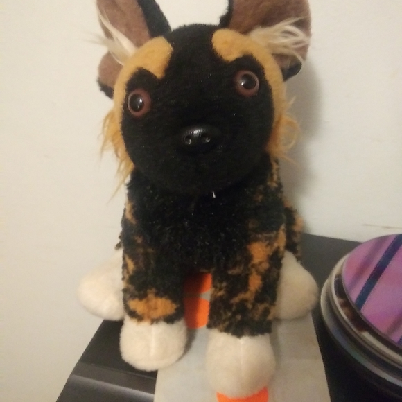 Stuff anamal - Picture 1 of 4